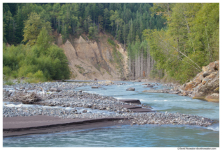 Gravel Bars, White River, Mount Rainier National Park, Washington State, Summer 2015