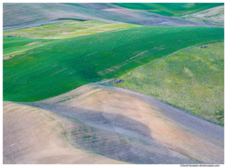 Palouse Layers, Washington State, Spring 2017