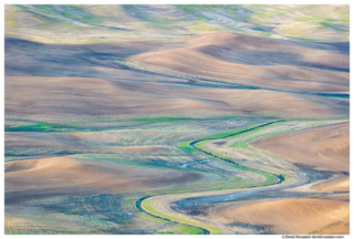 Palouse Pastels, Colfax, Washington State, Spring 2017