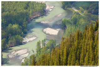 Middle Fork Snoqualmie River From Mount Si, Spring 2017