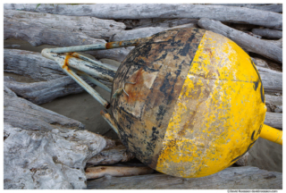 Lost Asian Buoy, Second Beach, Olympic National Park, Forks, Washington State