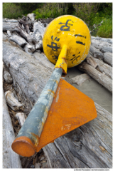 Lost Asian Buoy, Second Beach, Olympic National Park, Washington State