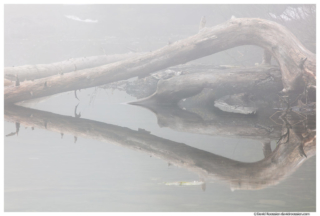 Reflection, Lake Twenty Two, Mountain Loop Highway, North Cascades, Spring 2017