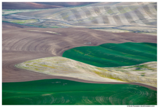 Rolling Ribbons, Steptoe Butte, Palouse Region, Colfax, Washington