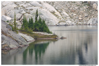 Island Trees, Robin Lake, Cle Elum, Washington