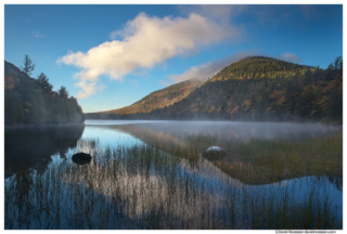 Reflection Through the Reeds, Bubble Pond, Acadia National Park