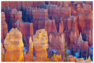 Reflected Light, Bryce Canyon National Park, Utah