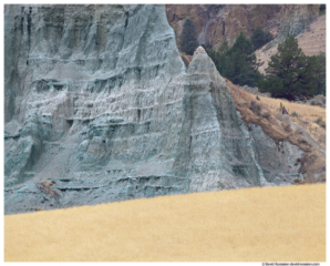 Hayfield and Pinnacle Near Blue Canyon, John Day Fossil Beds National Monument, Mitchell, Oregon, Fall 2016