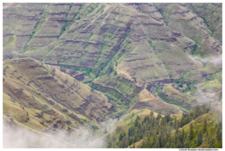 Joseph Canyon and Joseph Creek Overlook, Paradise, Oregon, Spring 2017