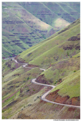 Curves in Paradise, Washington Oregon Border, Spring 2017