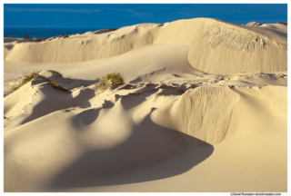 Storm Light on Dune, Silver Lake Sand Dunes, Oceana County, Lake Michigan