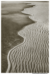 Edge of the Dune, Silver Lake Sand Dunes, Michigan