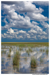 Summer Monsoon Clouds and Reflections, Florida Everglades Wildlife Management Area, Florida, Summer 2014