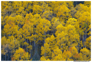 Aspen Tops, Aspen, Colorado