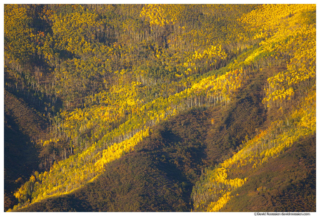 Golden Hill, Aspen, Colorado