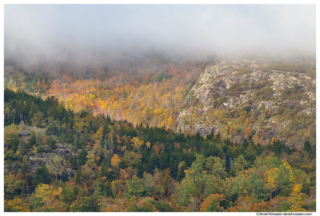 Marine Layer over Penobscot Mountain, Acadia National Park, Maine