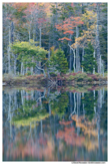 Reflection, Upper Hadlock Pond, Acadia National Park, Maine