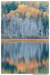 Flooded Marsh Reflection, Upper Hadlock Pond, Acadia National Park, Maine