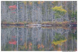 Barren Reflection, Upper Hadlock Pond, Acadia National Park, Maine