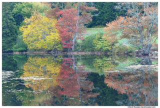 Colorful Reflection, Long Pond, Acadia National Park, Maine