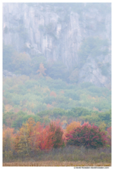 Fall Colors Below Foggy Precipice, Acadia National Park, Maine