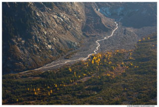 Source of the White River at Emmons Glacier, Aspens, Mountain Rainier National Park, Washington State