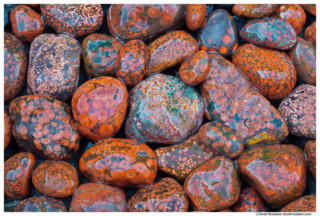 Orbital Poppy Jasper, Olympic Peninsula, Washington State