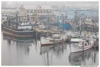 Smoky Salmon Bay, 2020 West Coast Wildfires, Ballard Bridge, Washington State