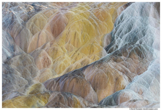 Palette Spring, Mammoth Hot Spring, Yellowstone National Park, Wyoming