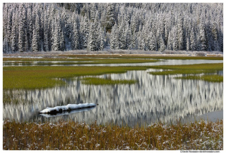 Tucquala Lake Reflection, Cle Elum, Washington State