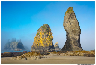 Shi Shi Beach Seastacks, Olympic Coast, Washington State