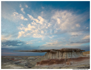 King of Wings, Bisti Badlands, Valley of Dreams, New Mexico